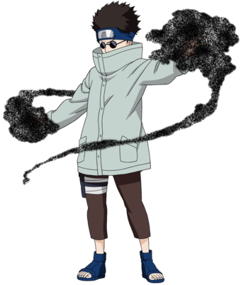O ninja dos insetos